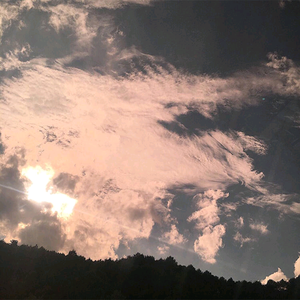 老师的丰满大乳奶
